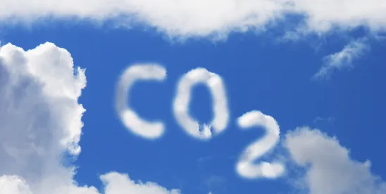 ISO Publishes New Standard for Carbon Storage With Potential as Subpart RR Substitute
