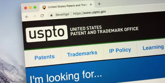 Beyond the Display: New USPTO Guidance Opens Design Patent Coverage for Virtual, AR, and Projected..