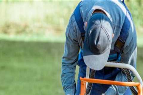 The Connection Between Landscape Engineering and Everyday Lawn Care Tools