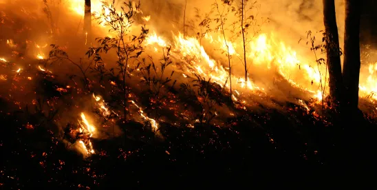 Wildfire Smoke at the Workplace: Safety and Legal Considerations for Employers