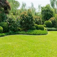 Landscape Engineering Techniques That Support Healthier, Pest-Free Spaces
