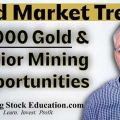 Gold Market Trends and Junior Mining Stock Opportunities with Expert Brien Lundin