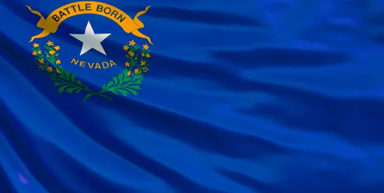 Nevada Supreme Court Rules IME Statute is Unconstitutional