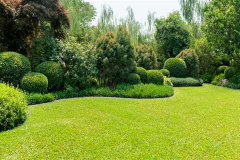 Landscape Engineering Techniques That Support Healthier, Pest-Free Spaces