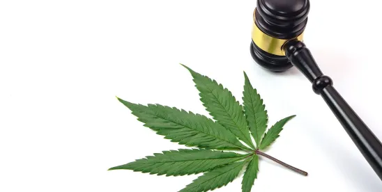 Virginia’s Cannabis Crossroads: Governor Spanberger’s Veto Leaves the Adult-Use Market in Limbo