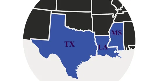 Dare to Compare! 5th Circuit Reaffirms Comparator Requirement in Discrimination Cases