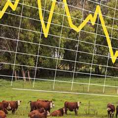 Understanding the Impact of Market Prices on Livestock Marketing
