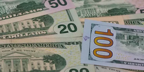 Free Cash Flow Under the Microscope