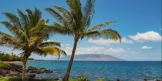 Hawaii Expands Family Leave Protections for Military Families