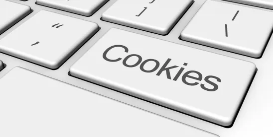 Kenneth Cole Website Tracking Case Dismissed After Cookie Opt-Out Claims