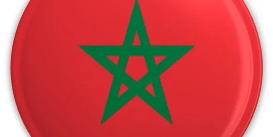 EB-2 NIW Green Card Case Study: Approval for AI Software Developer from Morocco