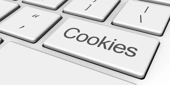 THE FUTURE OF ADS PERSONALIZATION: Targeting Efficiency in an Age of Consent Signals and Cookie..