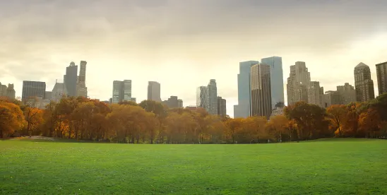 NYC Finalizes Click-to-Cancel and Hotel Junk Fees Rules, Proposes New Junk Fees Rule