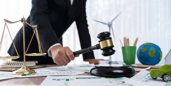 NAW v. Feldon: Bench Trial Day Four Summary (July 16, 2026)