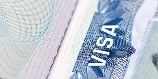 TN Visa to EB-2 NIW: How TN Holders Can Self-Petition for a Green Card