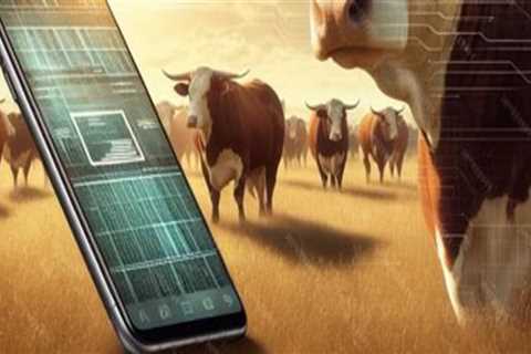 Harnessing Technology for Effective Livestock Marketing