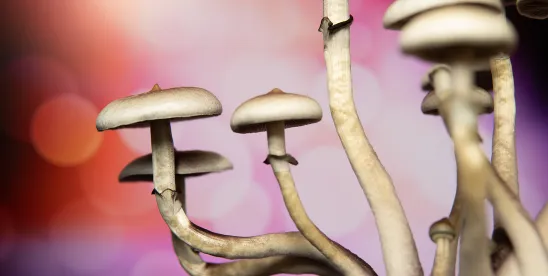 Trip Advisor: FDA Publishes Guidance on Psychedelic Drug Trials