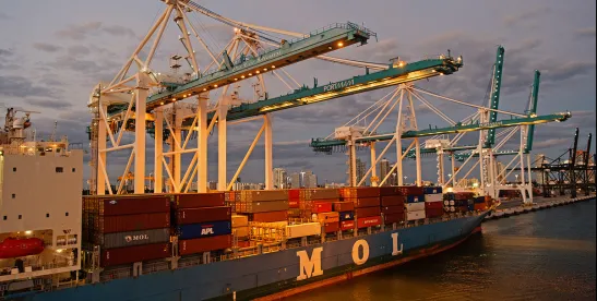 DOJ, DHS Publish Trade Fraud Enforcement Guide Highlighting Customs and Tariff Enforcement..