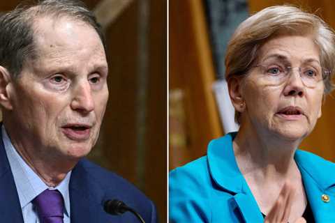 Several Big Brokerages Leave Customer Accounts Open to Theft, Senators Say