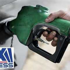 Record diesel prices SQUEEZE small business margins